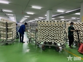 Private sector and Viet Nam’s double-digit growth ambitions